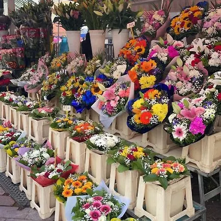 Palais Hongran De Fiana Nice